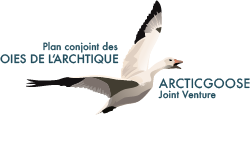 The Arctic Goose Joint Venture (AGJV)