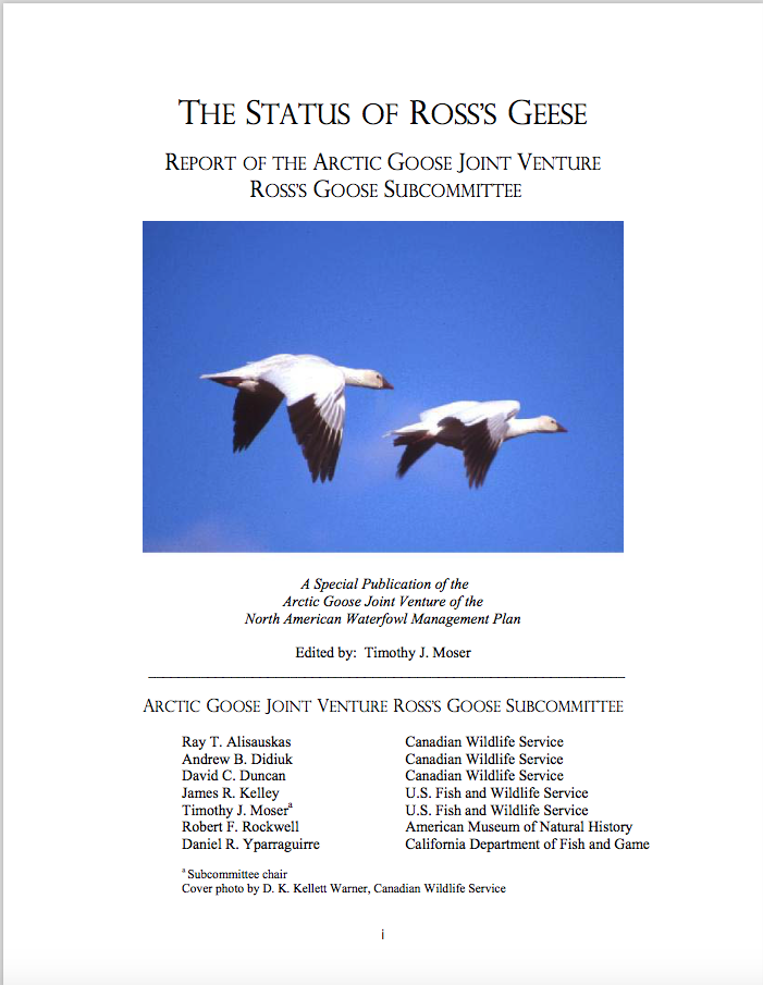 The Status Of Ross’s Geese