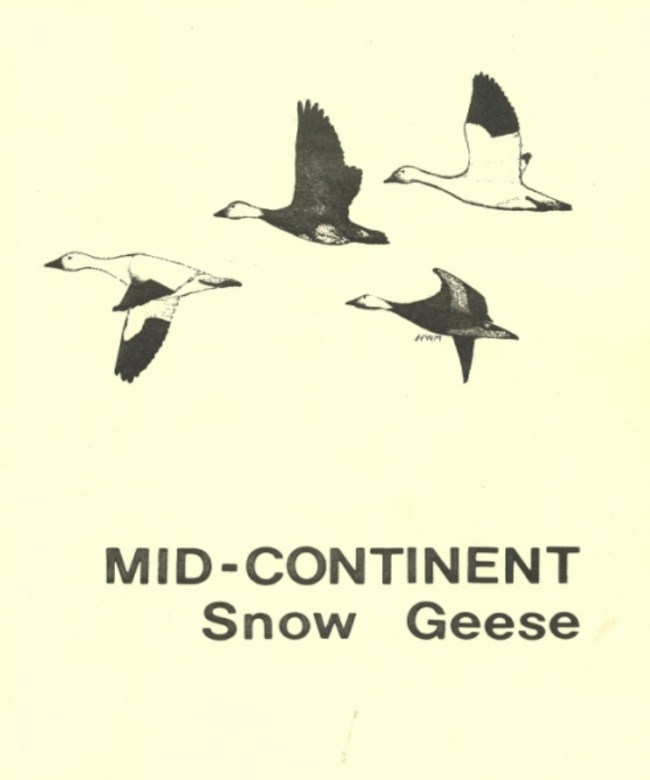 The Mississippi and Central Flyways