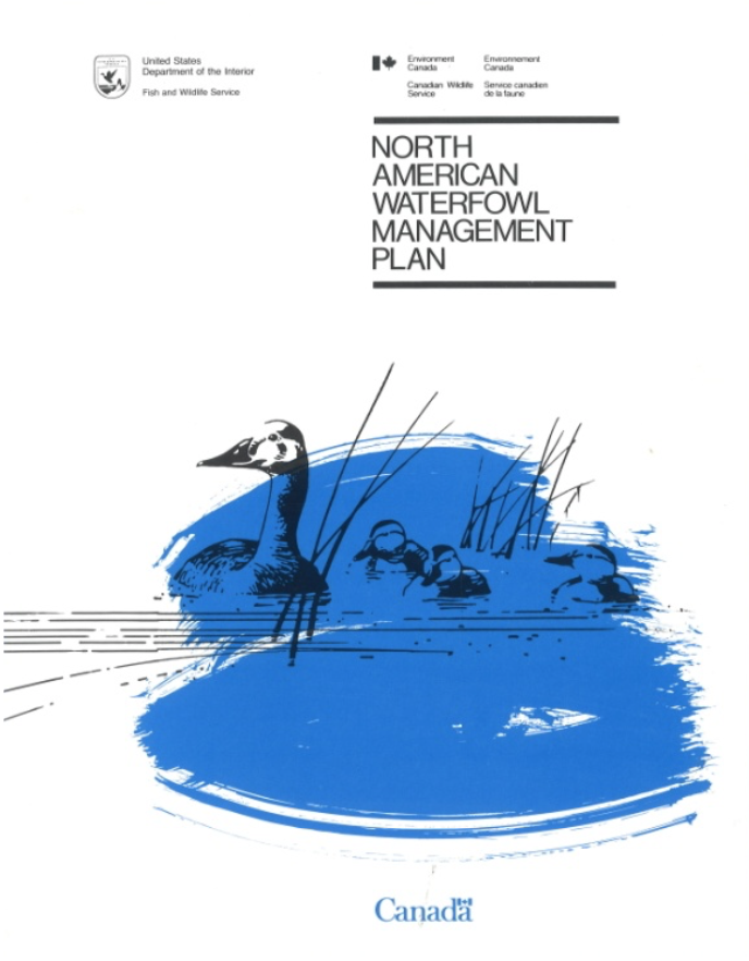 The North American Waterfowl Management Plan (NAWMP)